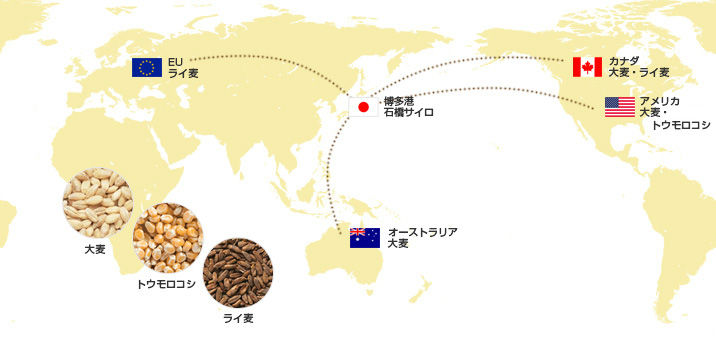 世界から日本へ輸入される図